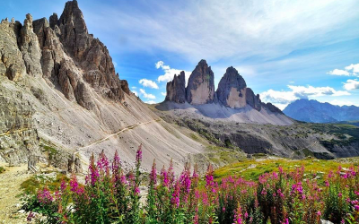 Di ritorno da un sogno