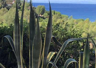 Appartamento in affitto Isola d'Elba
