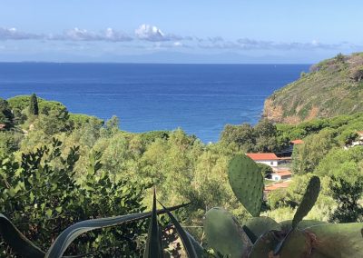 Appartamento in affitto Isola d'Elba