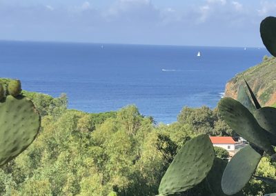 Appartamento in affitto Isola d'Elba
