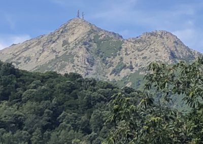 Appartamento in affitto Isola d'Elba