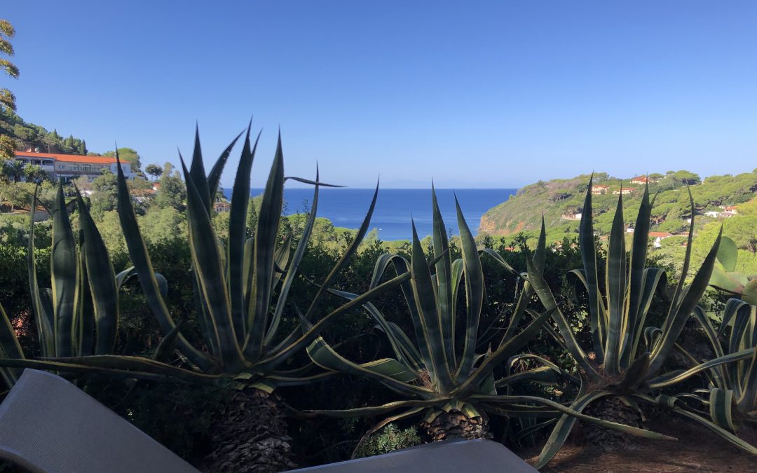 Appartamento in affitto Isola d’Elba