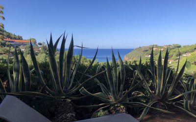 Appartamento in affitto Isola d’Elba