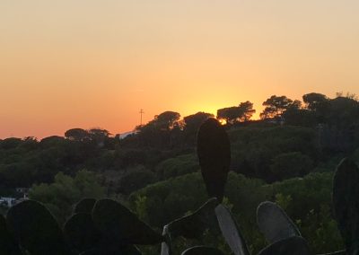 Appartamento in affitto Isola d'Elba