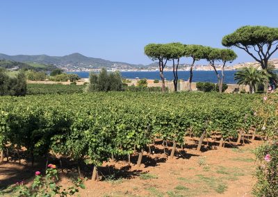 Appartamento in affitto Isola d'Elba