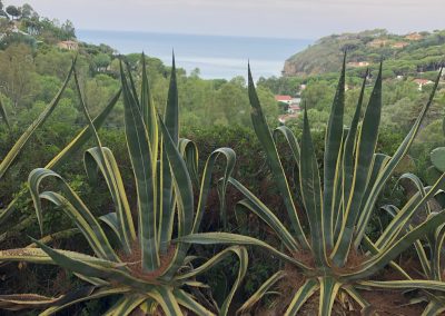Appartamento in affitto Isola d'Elba