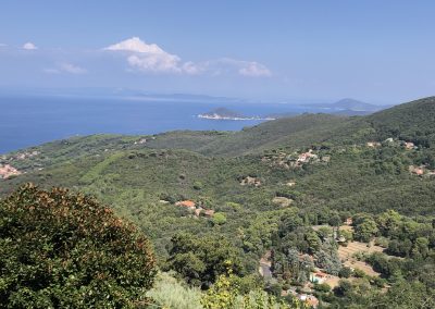 Appartamento in affitto Isola d'Elba